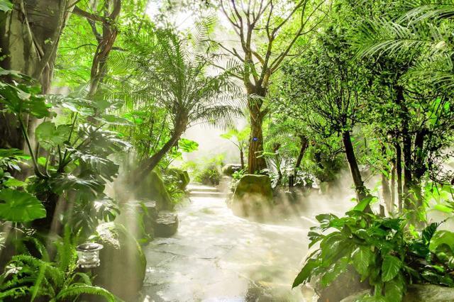 鑽疯姳鍙ら晣鑵惧啿,鑵惧啿鑽疯姳鍙ら晣