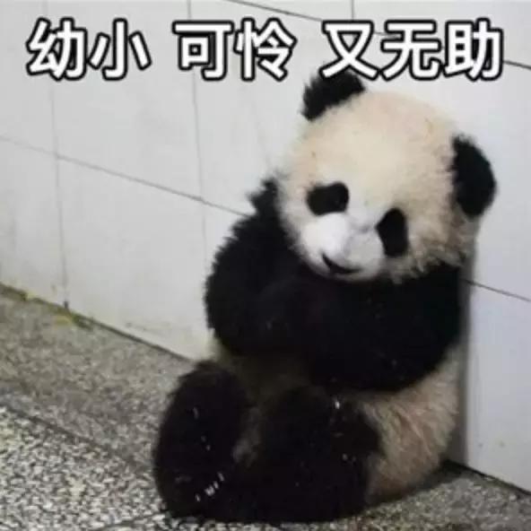 千万别看4D电影！哈哈哈哈哈哈哈哈哈哈哈哈哈哈哈哈哈哈