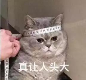 千万别看4D电影！哈哈哈哈哈哈哈哈哈哈哈哈哈哈哈哈哈哈