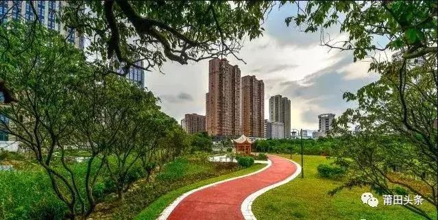 在莆田不能问什么,莆田问题回答