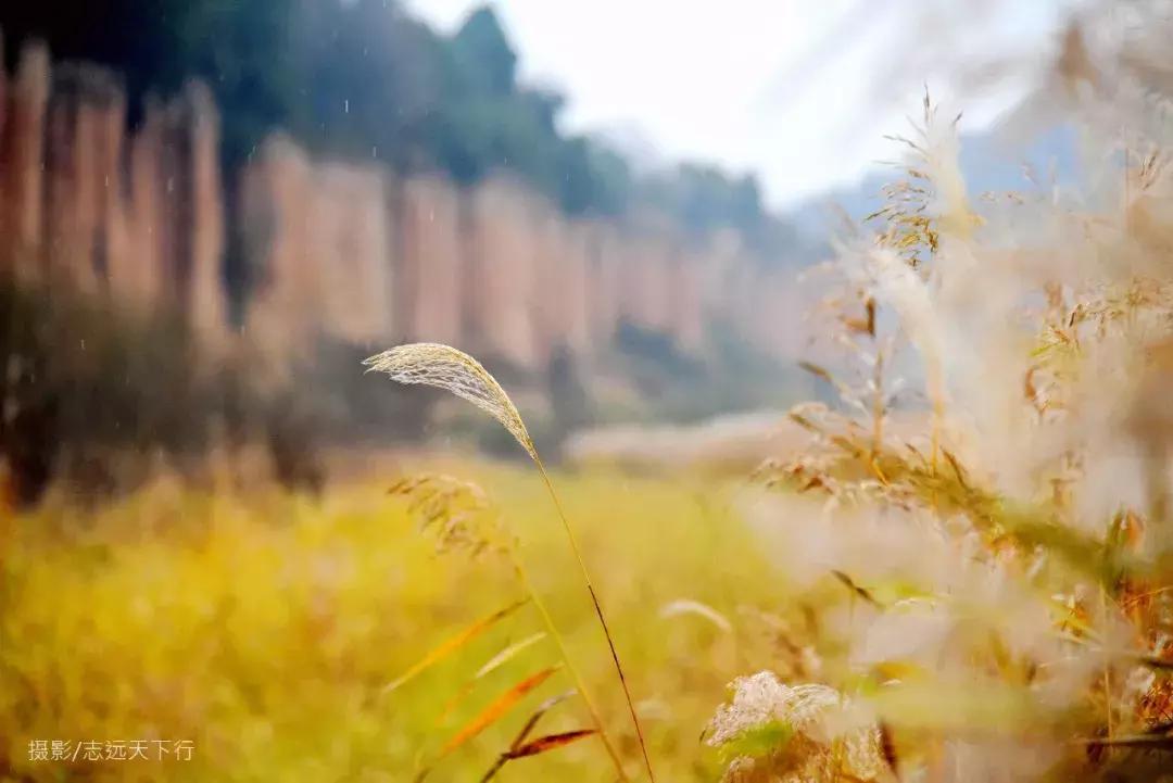 红土林景点,合水红土林