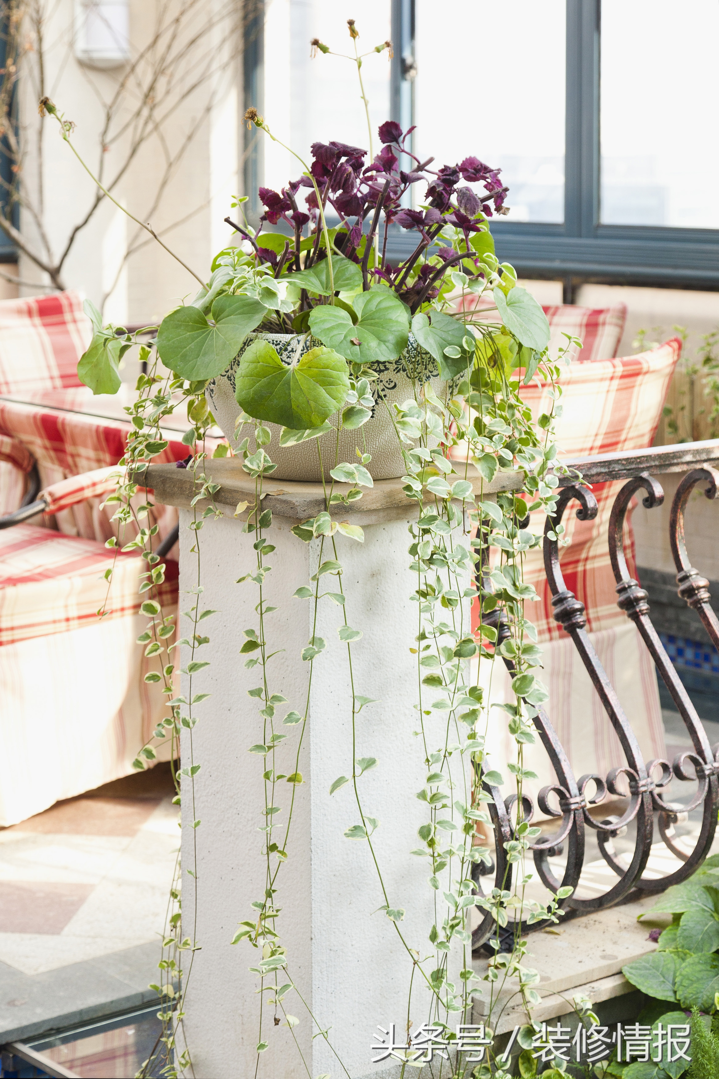 干货到屋顶花园的设计要点请查收,屋顶花园两个重要的点