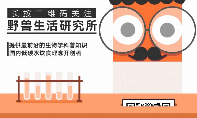 碳水化合物都是对身体有害的吗,不吃或少吃碳水化合物的危害