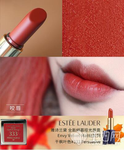 秋冬流行口红干枫叶色你值得拥有女人无法割舍的色号