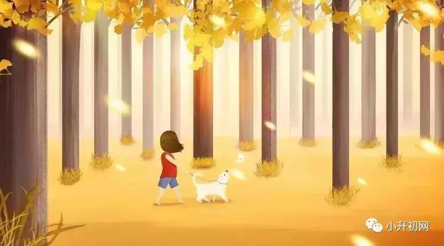 小学作文人物描写优美片段大全,人物描写片段900字摘抄小学同学