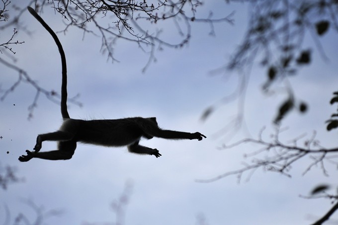 人文摄影斯里兰卡,锡兰风景