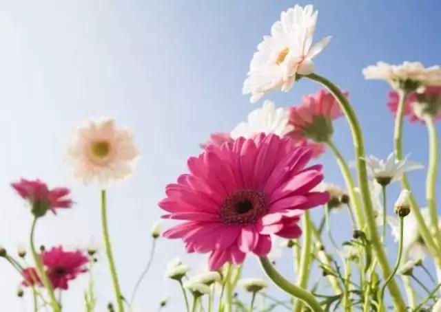 和老外交流最常用1000句口语,老外最常用英语口语