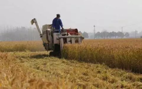 河南驾考计时培训,河南驾校增加了什么