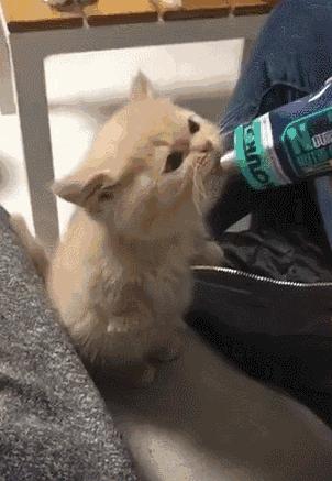 “如果被萌坏了,我帮你叫110救护车!”