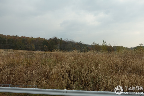 日本旅游要看账户流水不,日本旅行换钱攻略