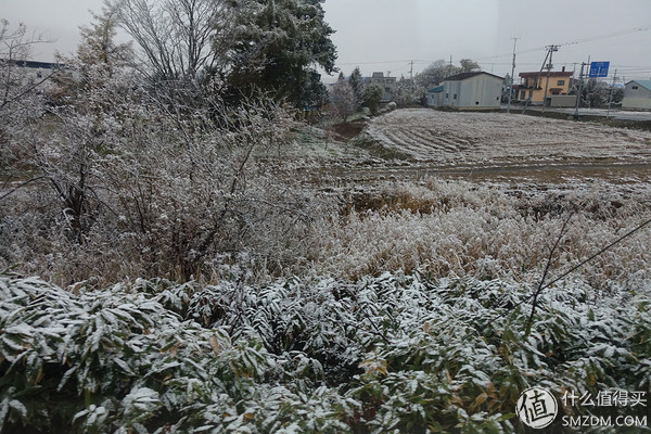 日本旅游要看账户流水不,日本旅行换钱攻略