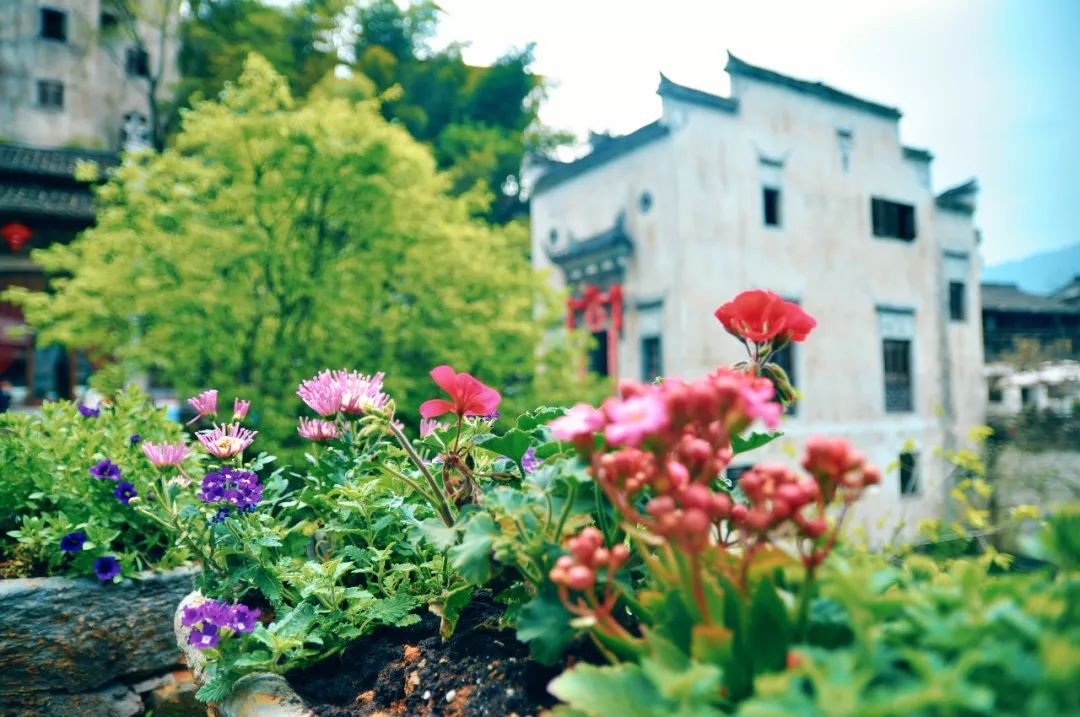 全世界最美的10个小镇,世界上最美的十个小镇