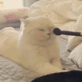 拜访10位童颜美女医生后,告诉你女人脸老得快的真正原因