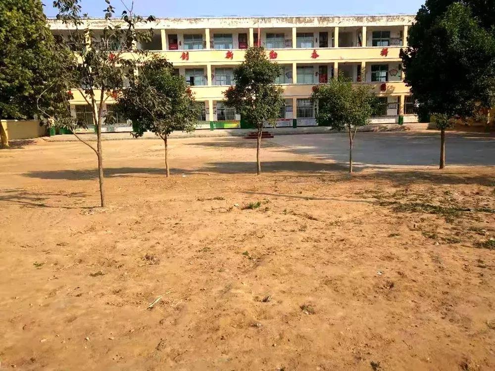 建业杯2019足球联赛,河南建业足球大名单2023年