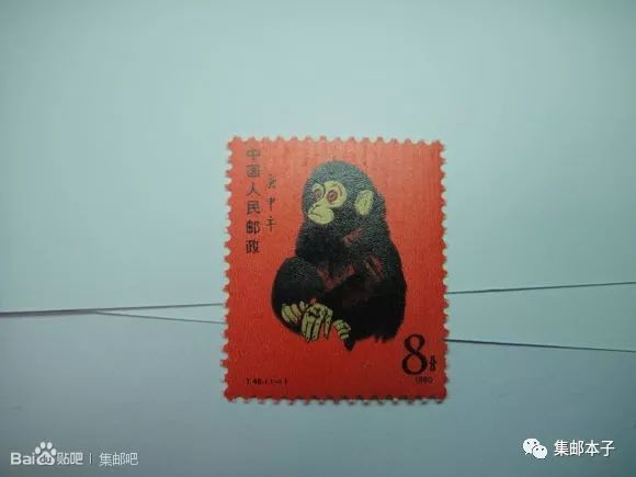 基于亲身经历谈一下T46庚申年金猴的鉴别方法