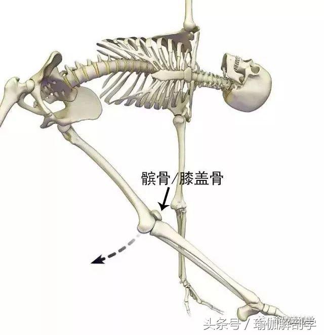 初学者必懂的13个基本瑜伽常识,瑜伽拜日式108遍口令视频中文