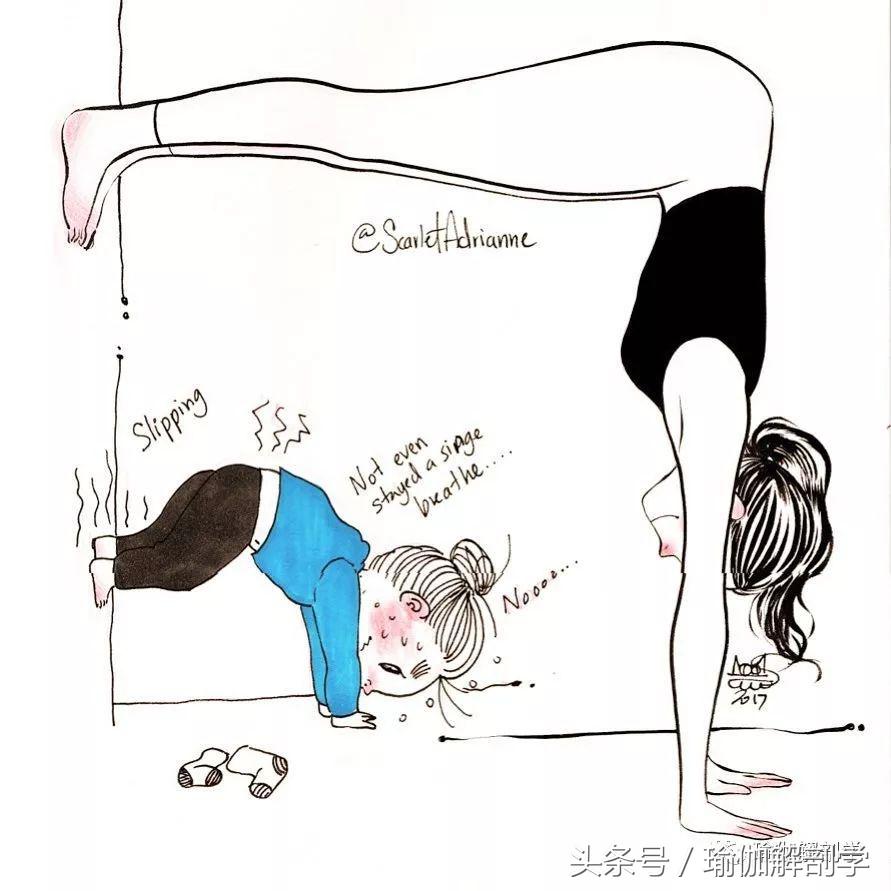 初学者必懂的13个基本瑜伽常识,瑜伽拜日式108遍口令视频中文