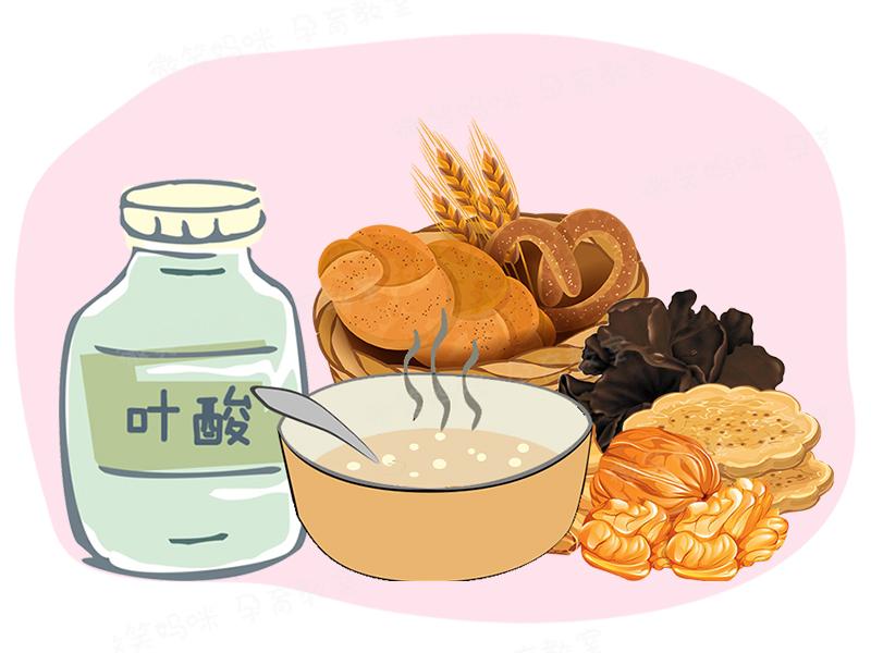 怀孕1周到40周胚胎变化图,40周怀孕全程指导书全6册