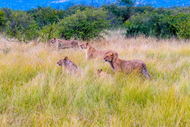 去非洲旅行，如何寻找拍摄题材？
