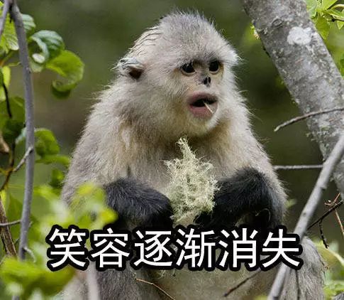 玻尔和爱因斯坦论战合照,物理学家玻尔与爱因斯坦