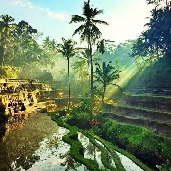 巴厘岛蓝梦岛拍照,蓝梦岛旅游网红打卡地