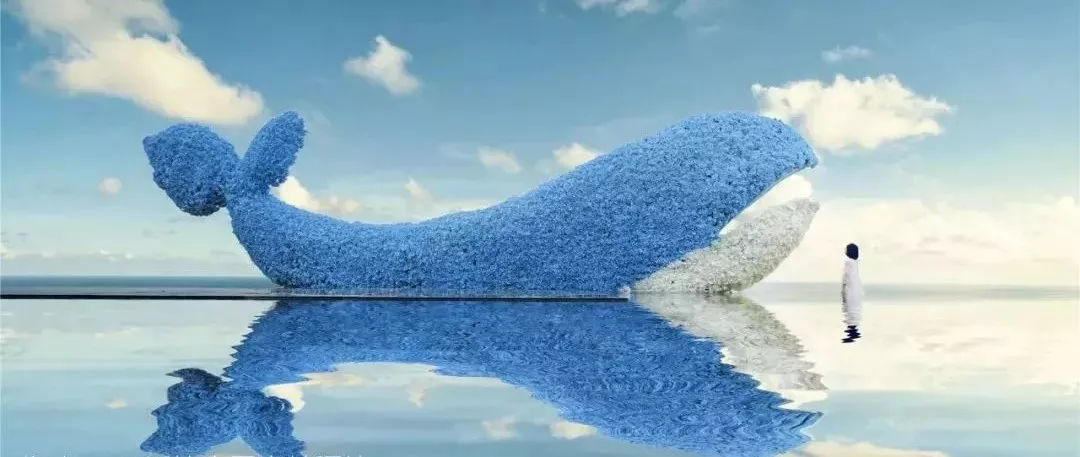 巴厘岛蓝梦岛拍照,蓝梦岛旅游网红打卡地