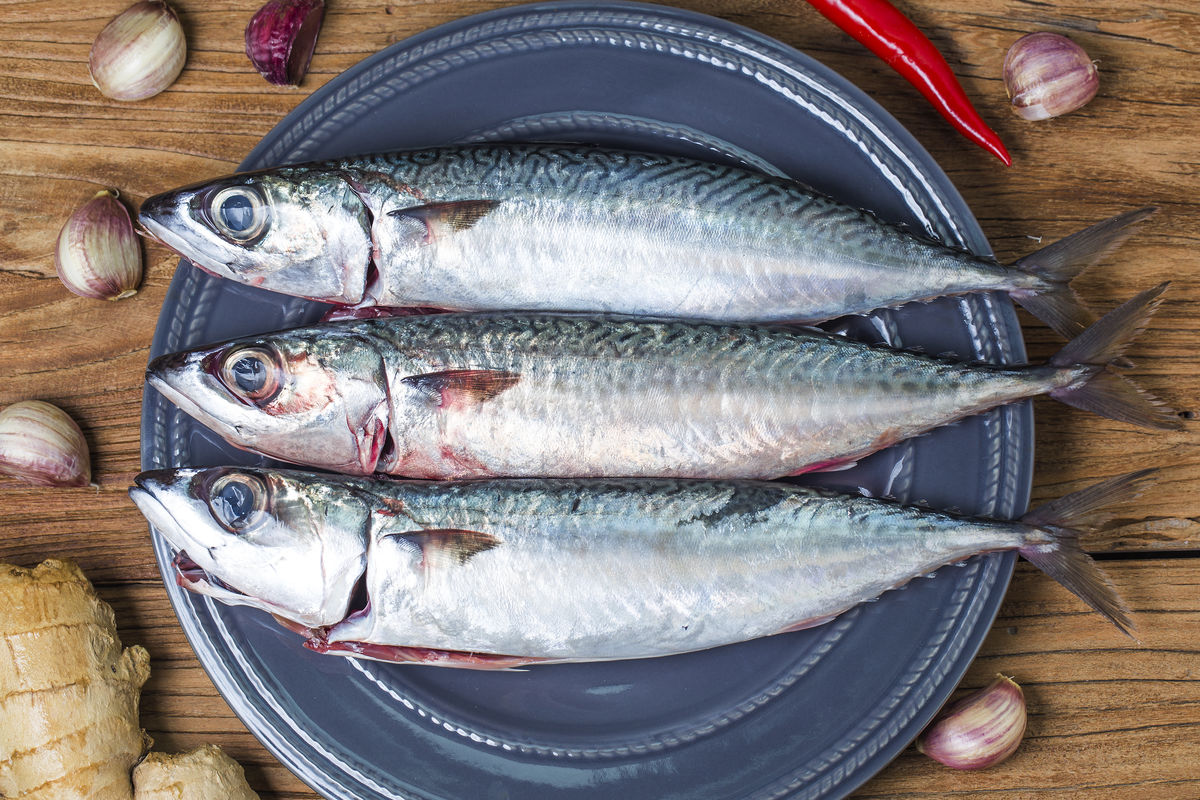 鲭鱼怎样吃最好,哪种鲭鱼好吃