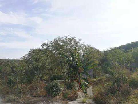 清泉石上流水,清泉石上流生生不息