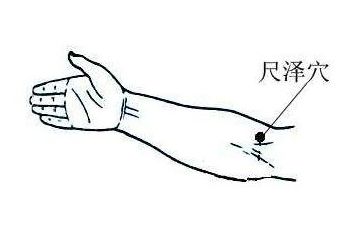 五输穴之少商鱼际与太渊，经渠尺泽肺相连