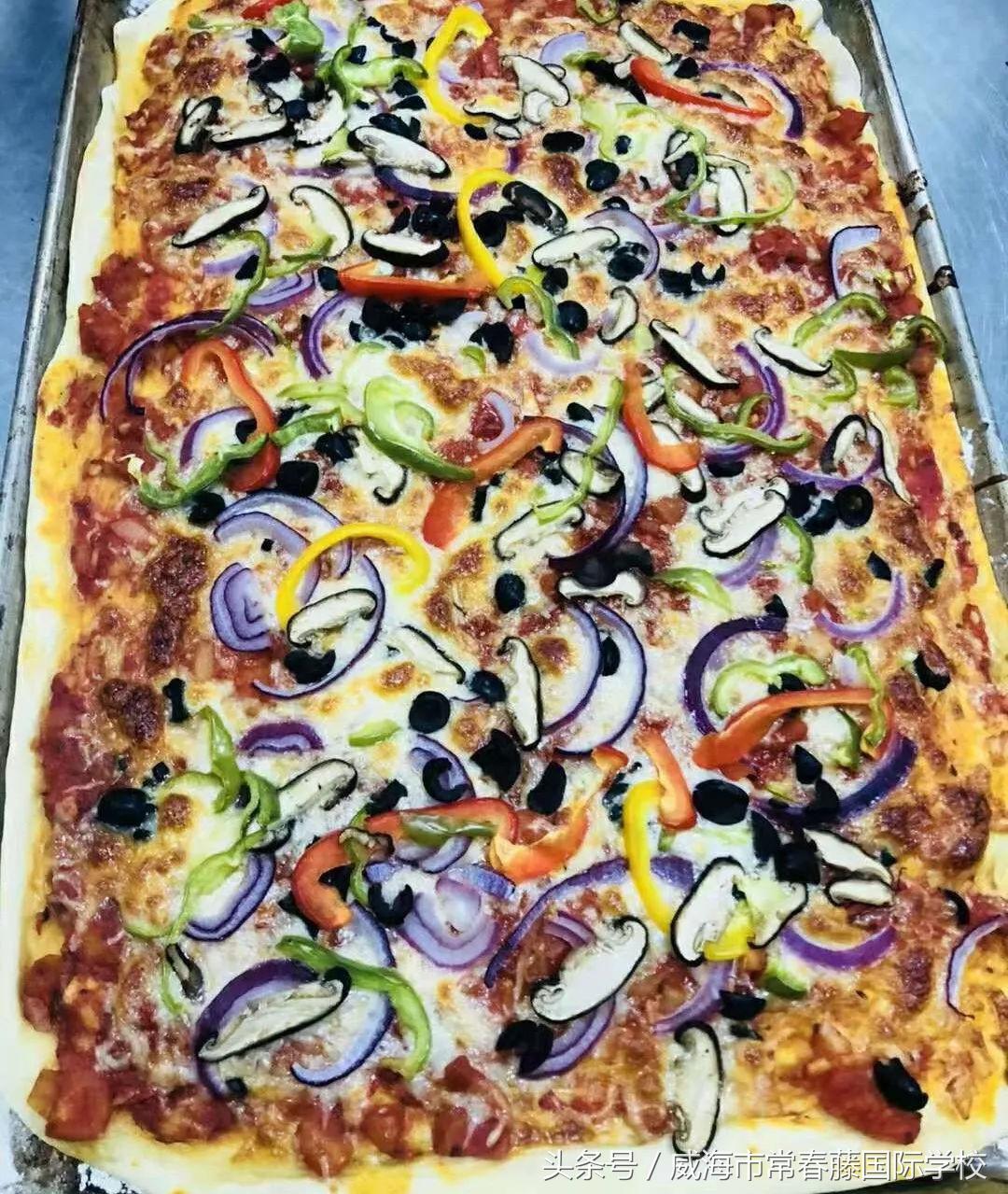 UNODAY｜看IVY的小伙伴们如何致敬联合国日？