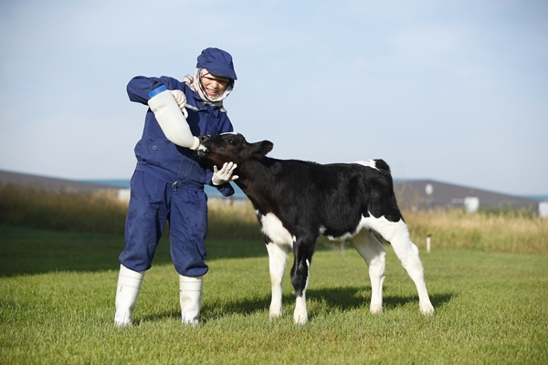 现在大陆人在香港买奶粉有限制吗,现在还有多少人去香港买奶粉