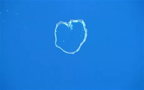 438天漂流9000公里，离开陆地14个月里他只做了一件事——活下去