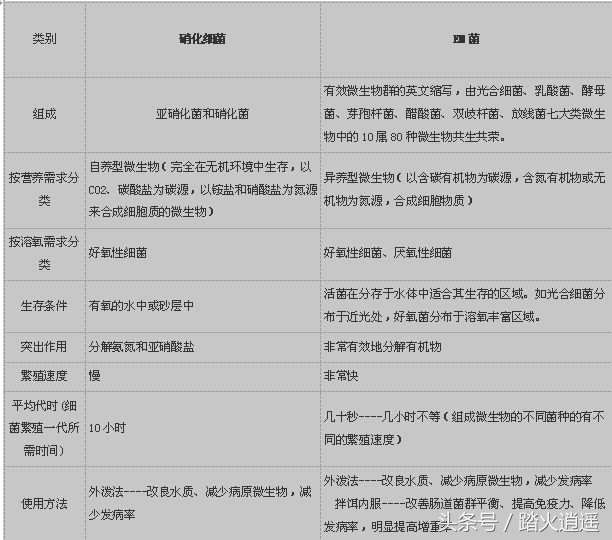 养鱼要培养什么菌,养鱼用什么水产菌种