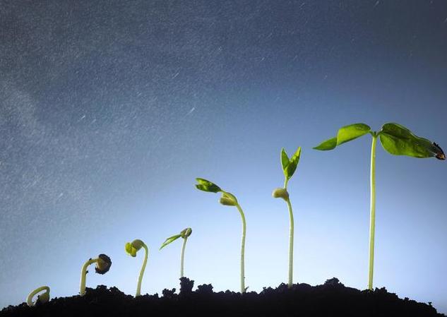 期货交易中的精确判断,期货交易知趋势懂节奏看力度