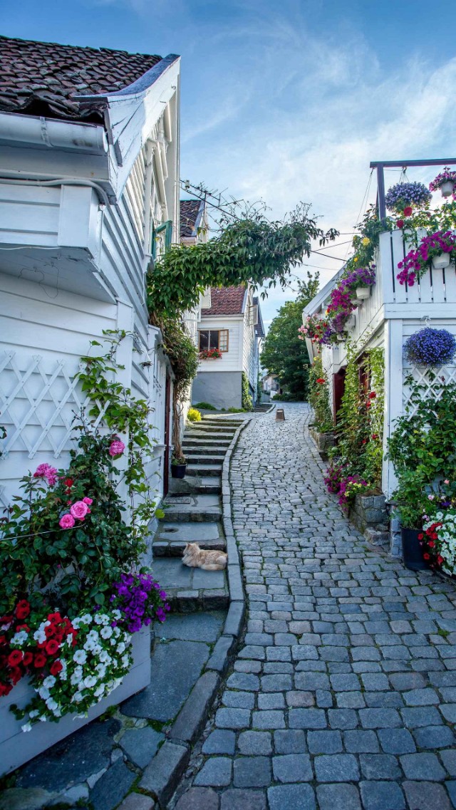 原创论文《当今诗人，以不懂为美》