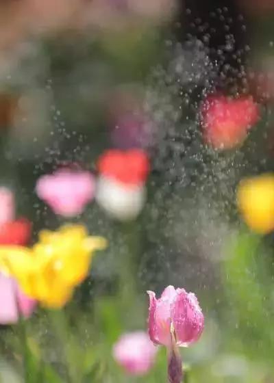 慰藉心灵的人生感悟句句走心,触碰心灵的人生感悟情感语录