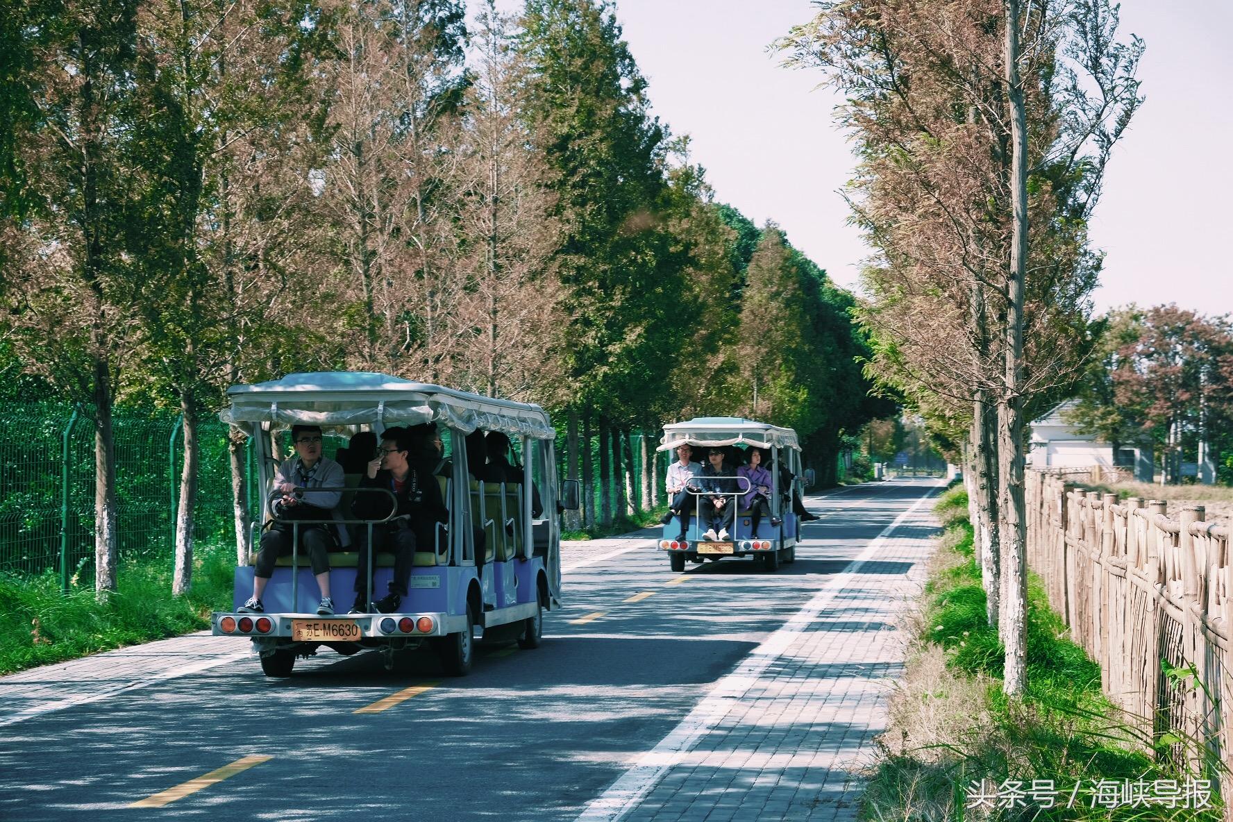 大隐隐于市!这座生态园让你感受江南水乡的农家之美