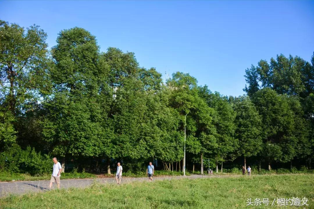 遵义八七厂的照片,遵义八七厂做什么的