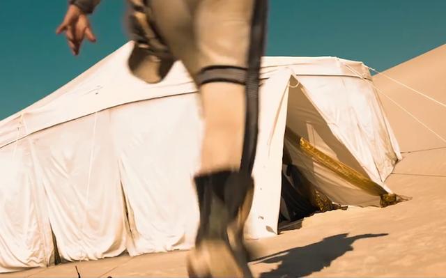 一只猫竟然有神力,一只猫有超能力吗