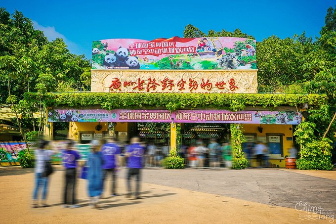 不出国门看世界完整版,不出国门就能看遍五大洲珍奇动物