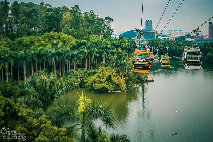 不出国门看世界完整版,不出国门就能看遍五大洲珍奇动物