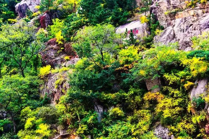 青岛4号线游崂山攻略,崂山一日游青岛站