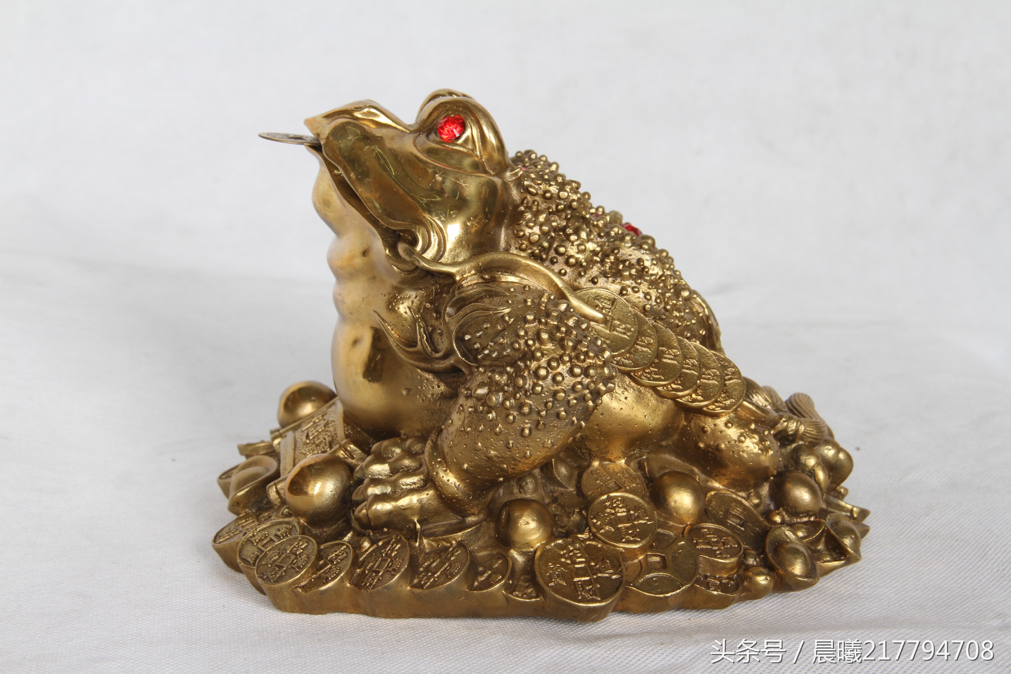 金蟾的历史故事,金蟾的故事图片文字