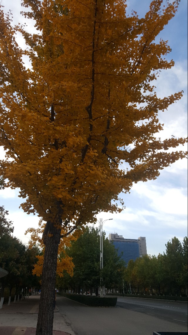 华为mate20pro现在还能买吗,华为mate20pro还可以入手吗