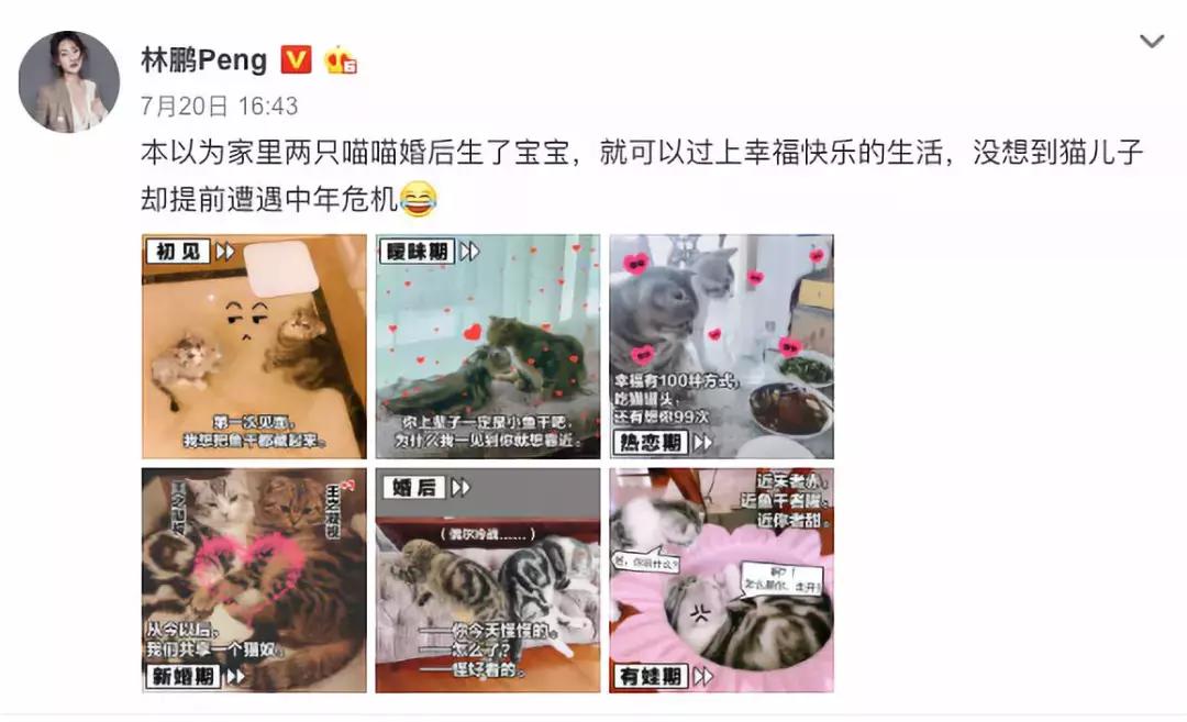 不必硬拗，林鹏“演妈妈”比朋友圈里的刷屏宝妈更入戏