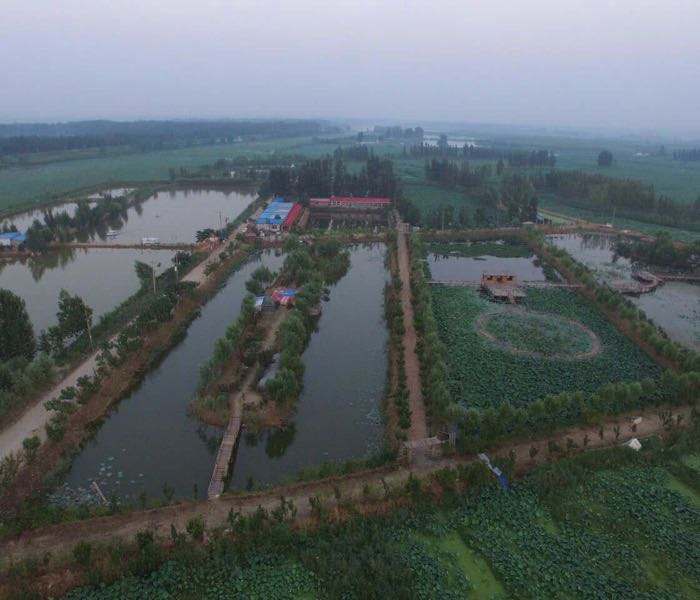 阿呆图片动图,阿呆高清图片图文