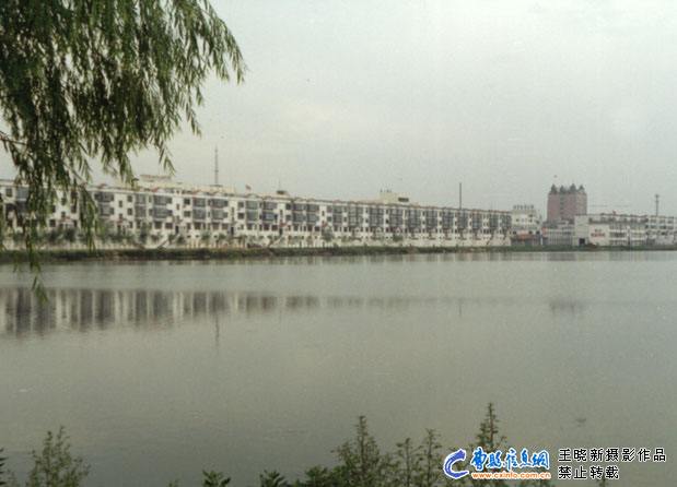 阿呆图片动图,阿呆高清图片图文