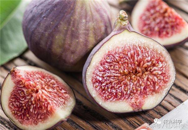 西兰花里好多小虫子,西兰花里有虫子视频