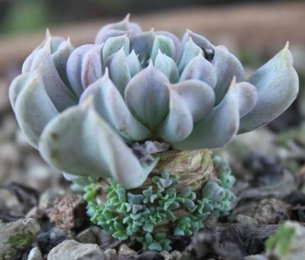 财运正旺不宜做的事,想财运旺记住这几件事