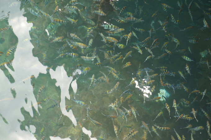 美丽的三亚蓝天白云,三亚蓝天白云美景